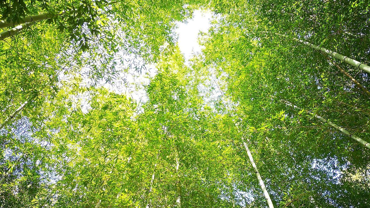Отель Yugashima Tatsuta Идзу Экстерьер фото